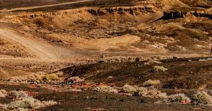 雷霆如何平衡健康与状态，提前锁定西部第一席位？